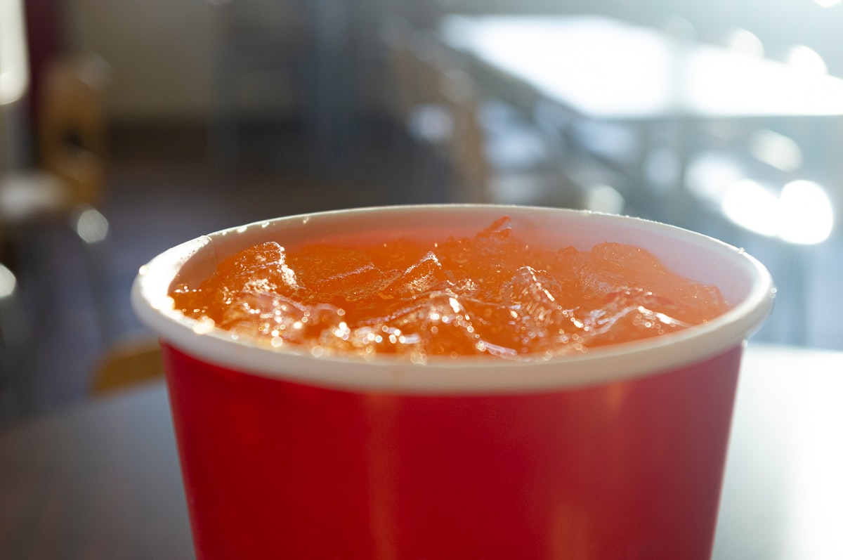 Infusion de fruits